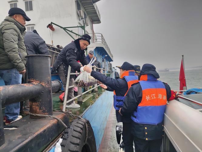 船舶冰机结霜怎么回事-图1