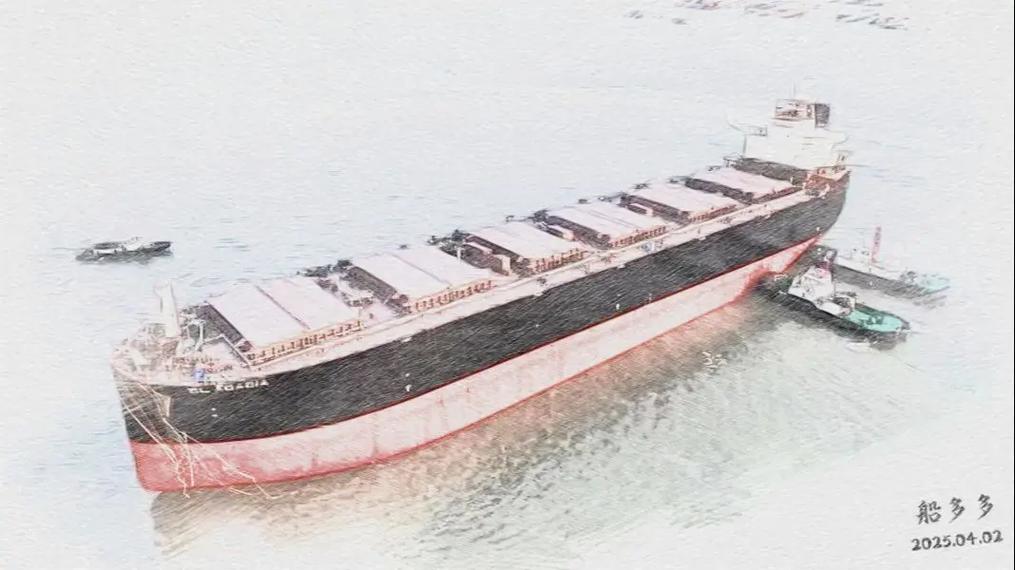 散货船1000吨多少钱-图2 散货船1000吨多少钱-图2