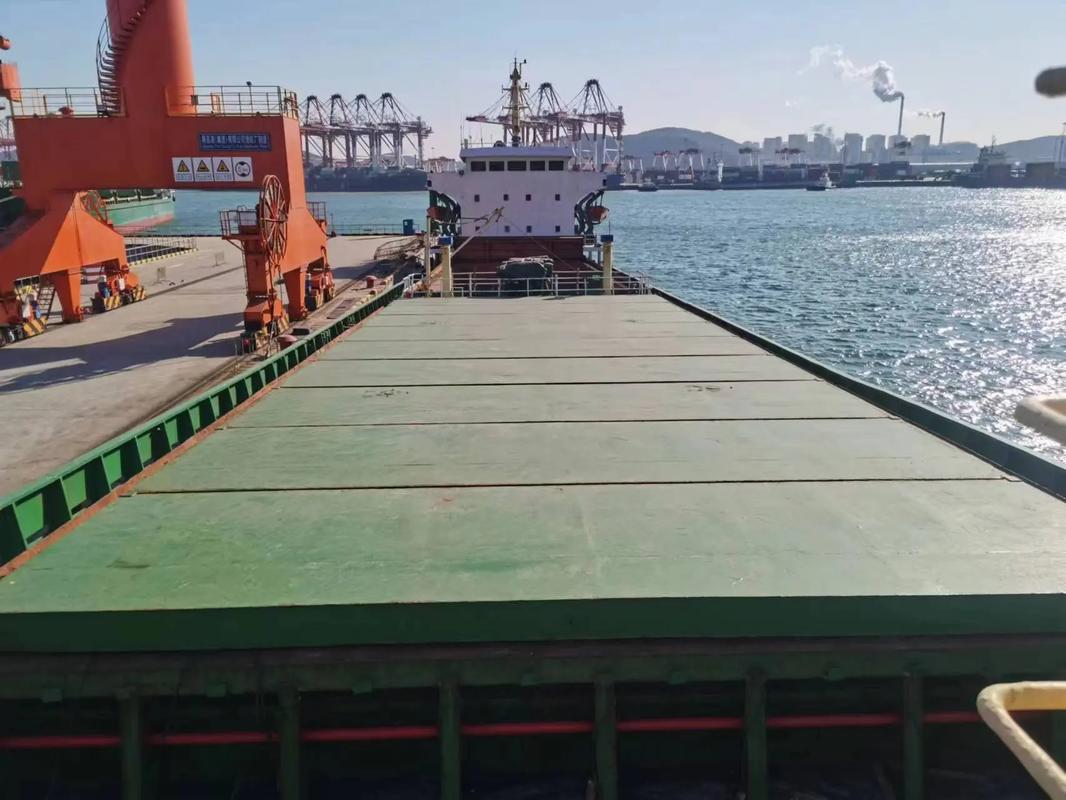 黄埔造船厂散装货船视频有何亮点？-图1