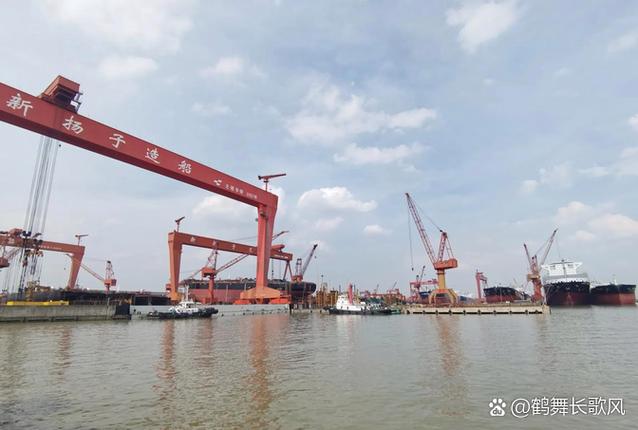 新扬子造船厂进出口比例是多少？-图1