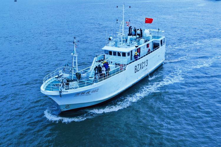 远洋船舶副总名单有何新变化或标准？-图2