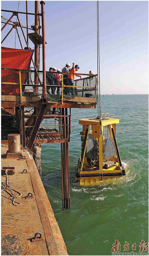 广东海工船舶租赁有何优势与市场前景？-图2