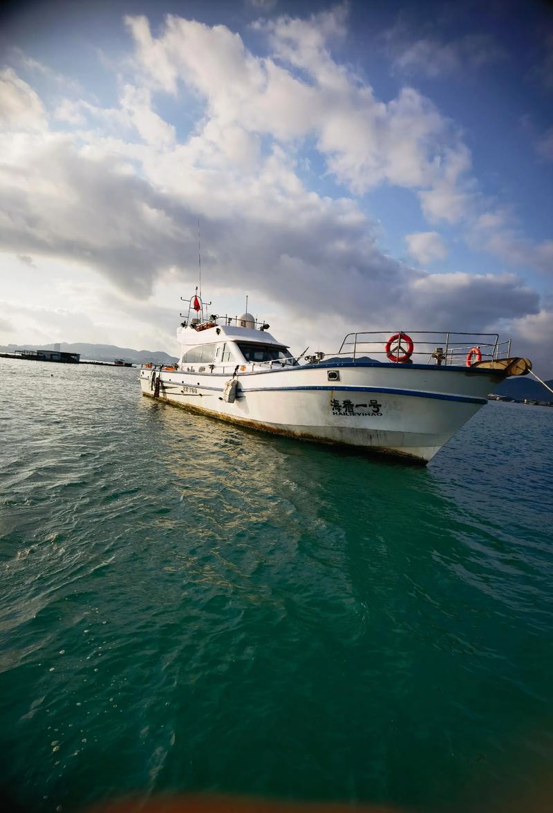 轮船漂在水上，怎么称出它的真实重量？-图3