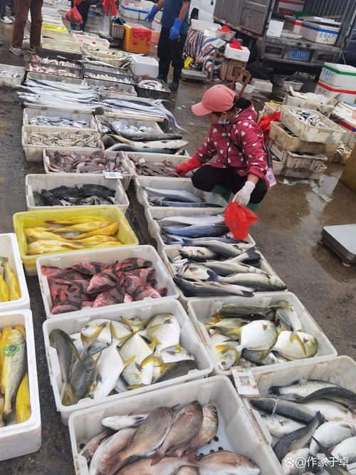 船舶买卖市场干货，现状如何？趋势怎样？-图1