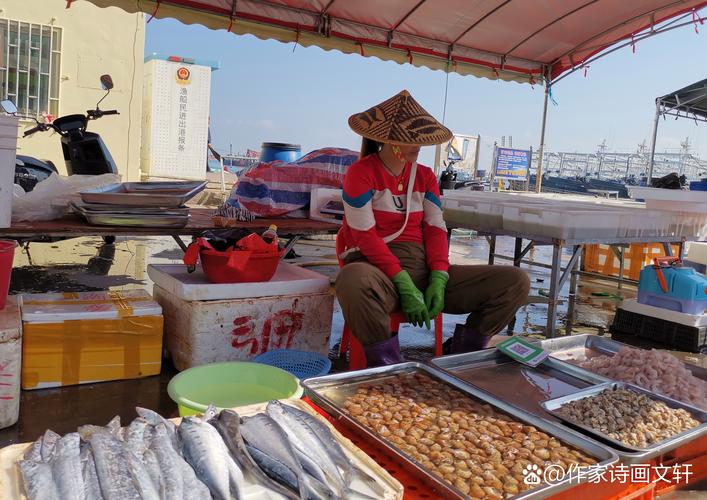 船舶买卖市场干货，现状如何？趋势怎样？-图3