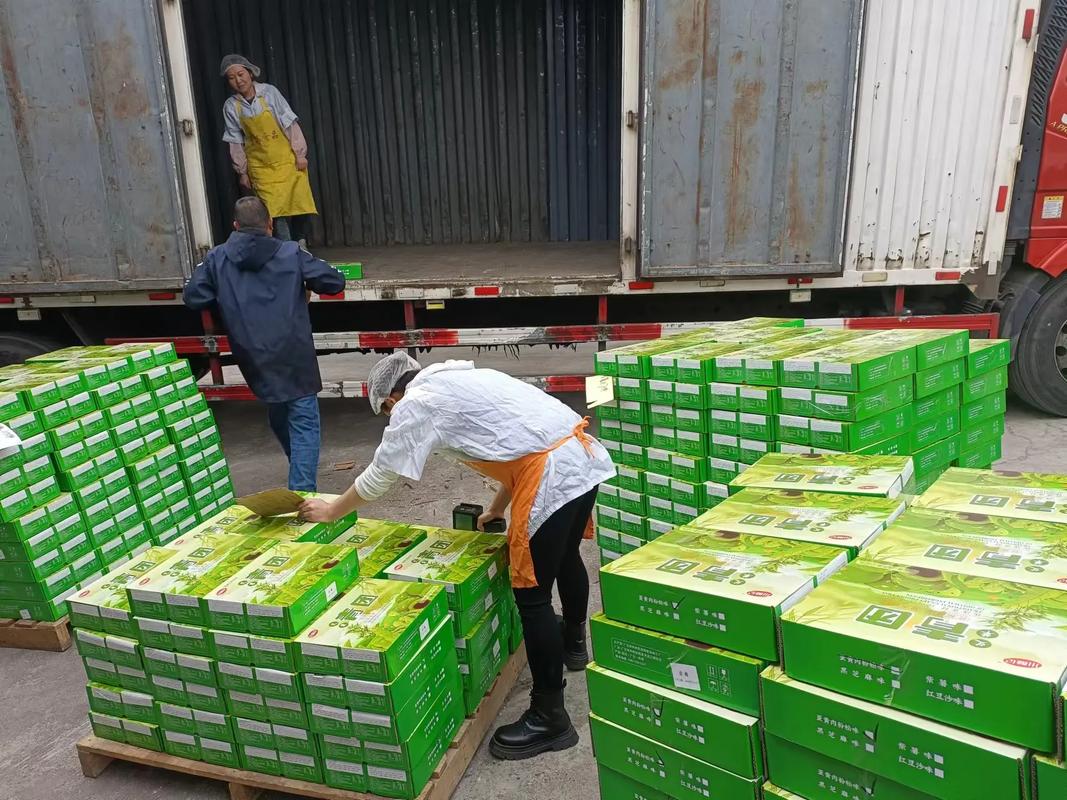 外轮船舶食品供应如何监管？-图1