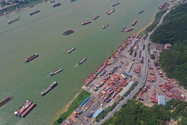 梧州拖轮船队图片-图1