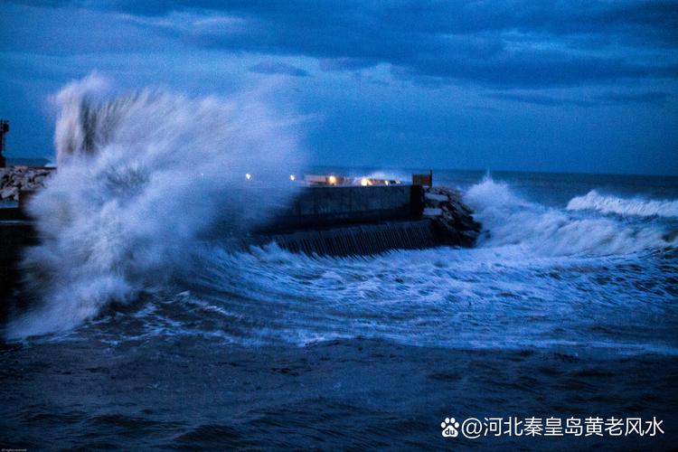 台风天鸽过后船舶-图3