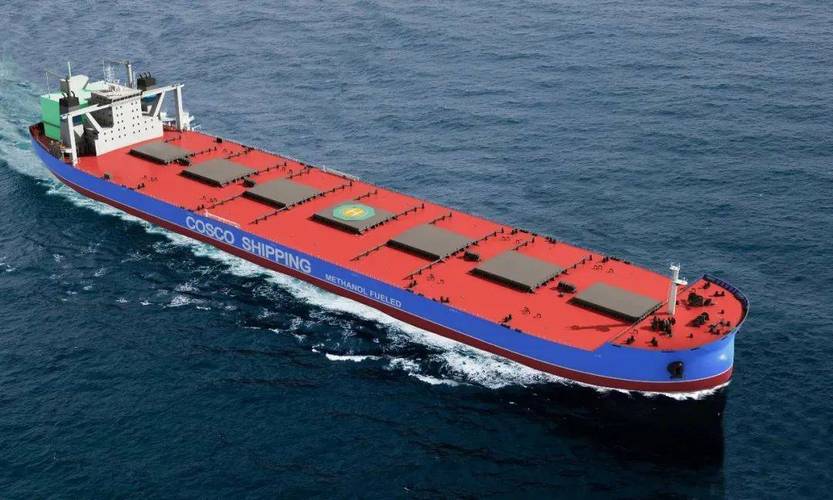 中远海运船舶明细有哪些关键信息？-图3