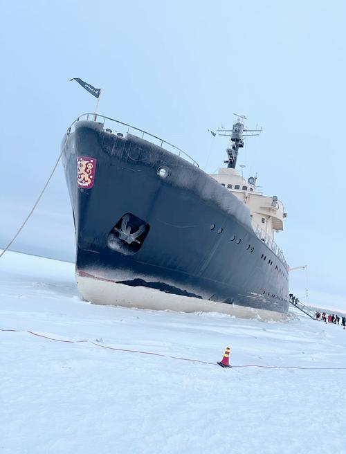 芬兰轮船公司有何独特之处？-图2