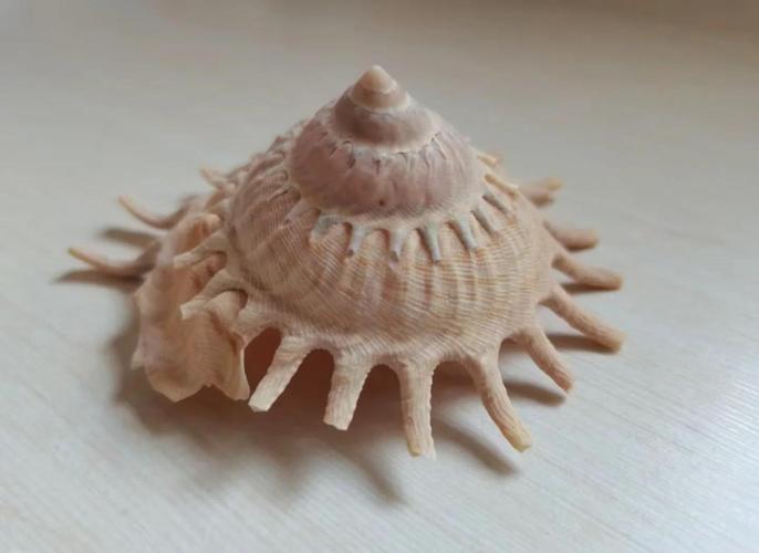 轮船陀螺如何稳定航行?-图2 轮船陀螺如何稳定航行?-图2