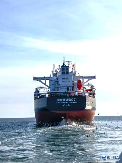 中园船舶运输公司实力如何？-图3