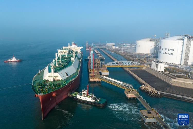 天津的资船舶公司-图3