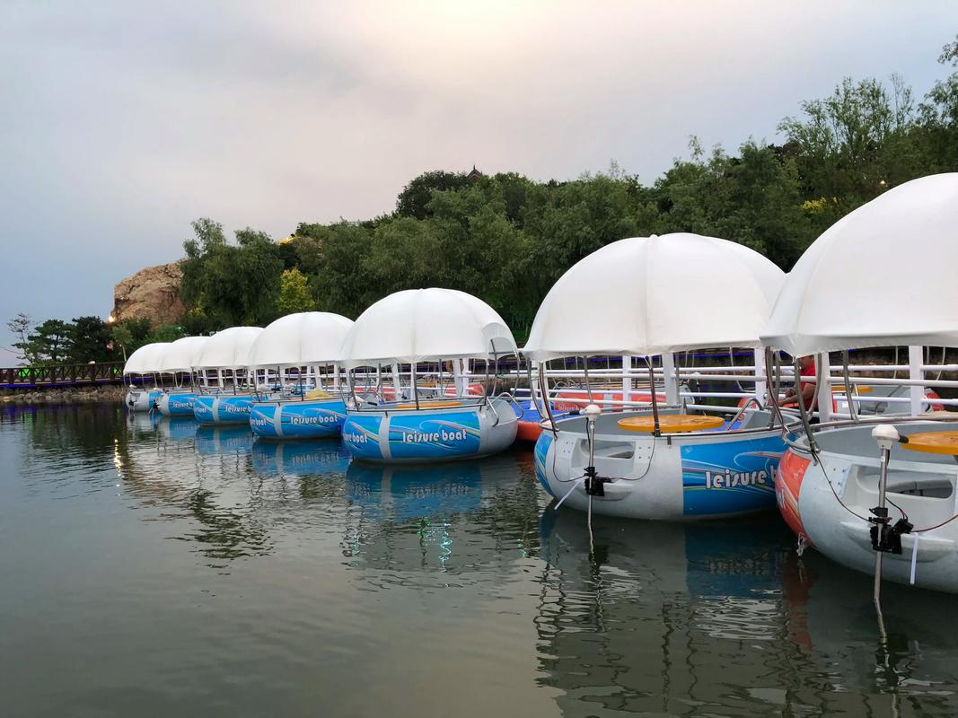 电动船舶应用前景如何？-图2