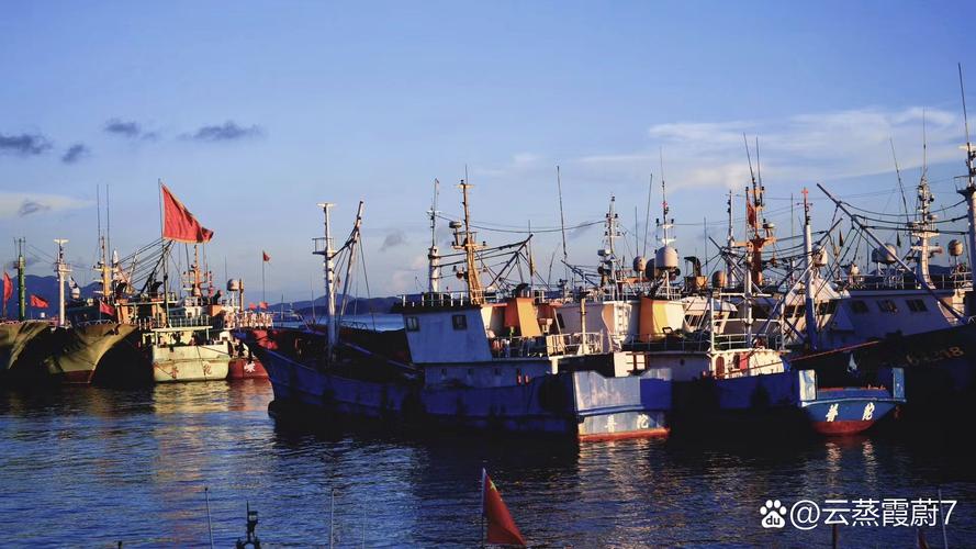 贵港船舶交易市场现状如何？-图3