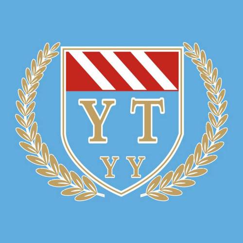 船舶资询有限公司提供哪些专业服务？-图2