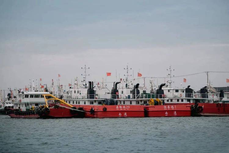 船舶白天悬挂w旗-图1