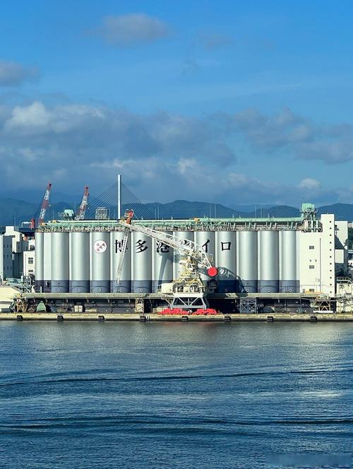 日本大岛造船厂具体地址在哪里?-图2 日本大岛造船厂具体地址在哪里?-图2