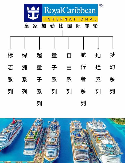 船舶公司资历如何快速准确查询？-图1