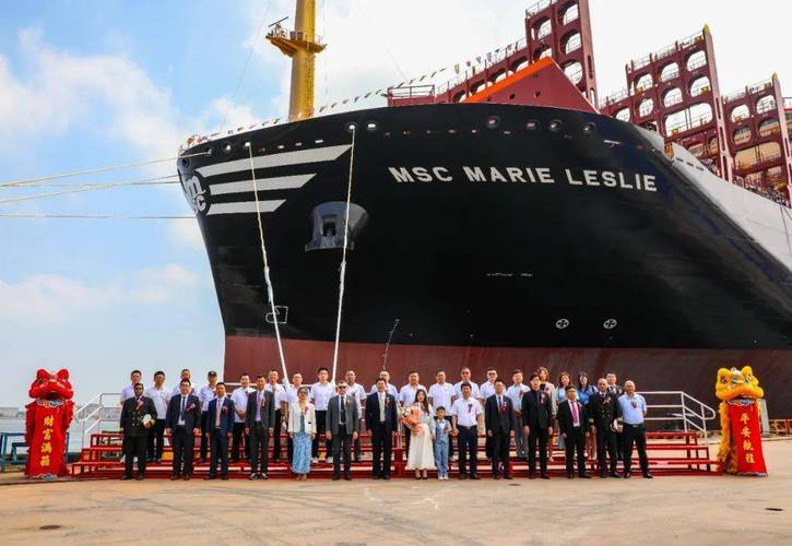 MSC船舶究竟指什么?-图3 MSC船舶究竟指什么?-图3