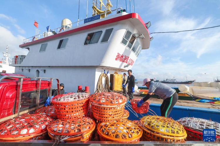 舟山港口进出船舶-图1