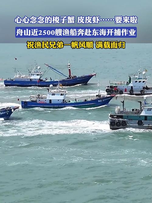 舟山船舶考察有何独特之处？-图1