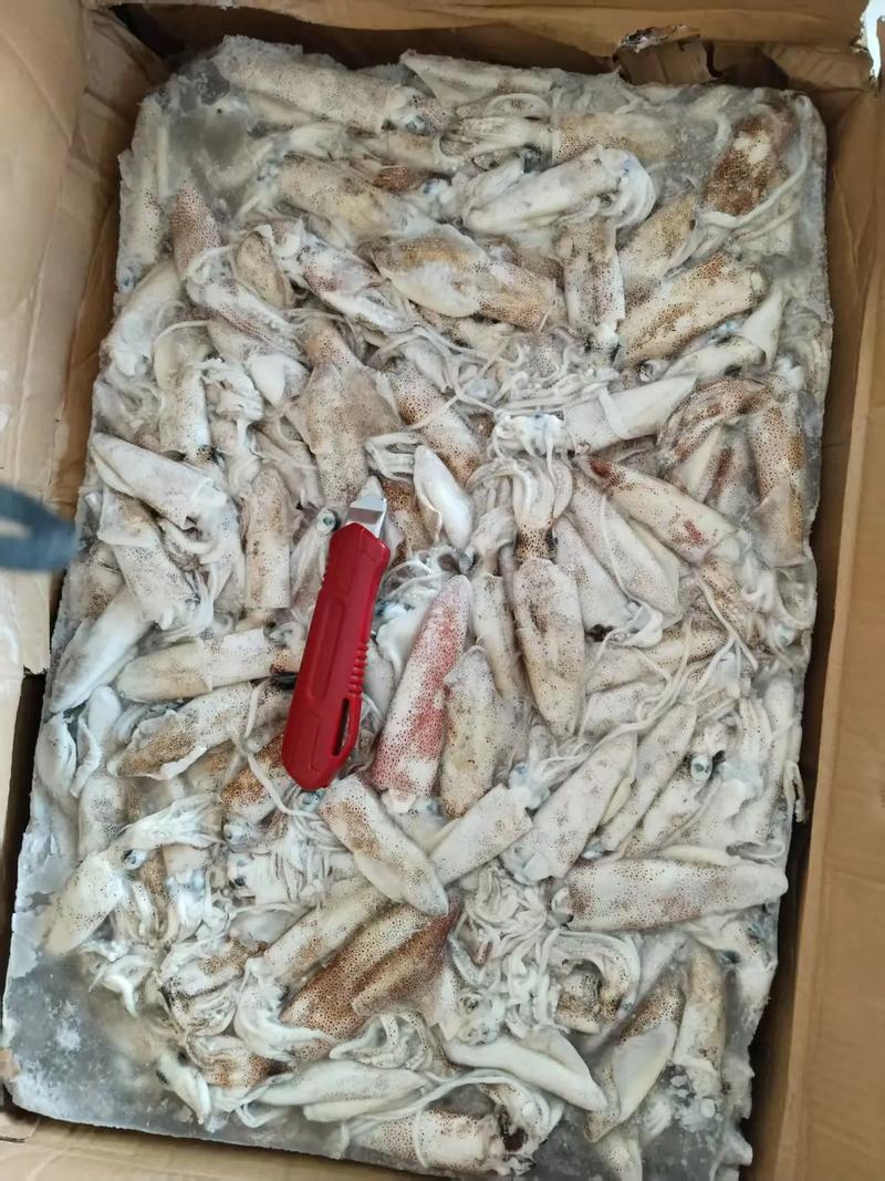 青岛即墨船舶门市具体在哪里？-图3