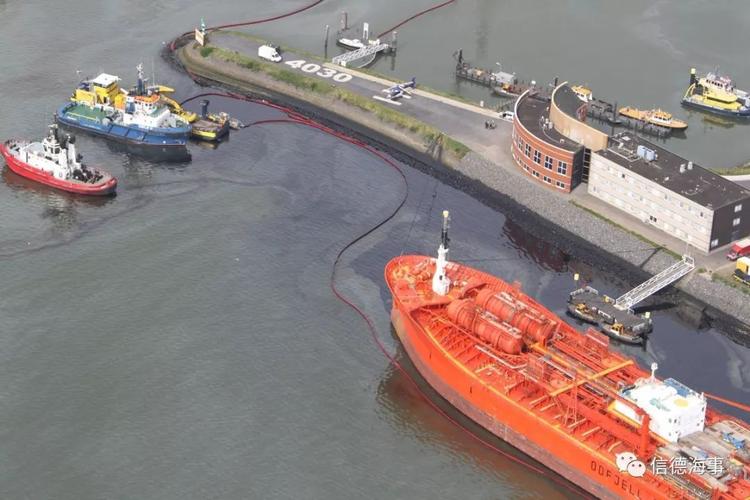 国际船舶漏油事件如何影响海洋生态？-图3