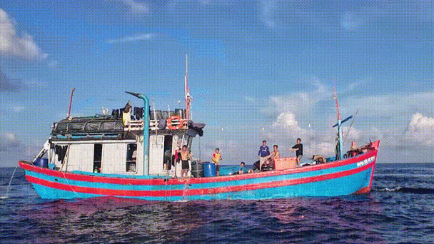 渔船船舶动态如何实时查询？-图1