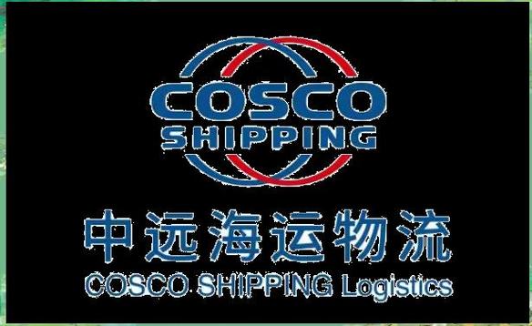 中远船舶供应公司有何核心优势？-图1