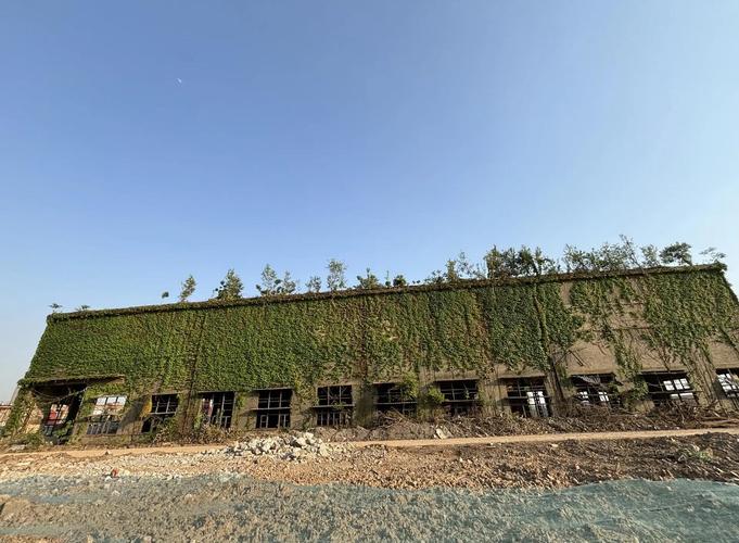 芜湖造船厂储年生是谁?-图2 芜湖造船厂储年生是谁?-图2