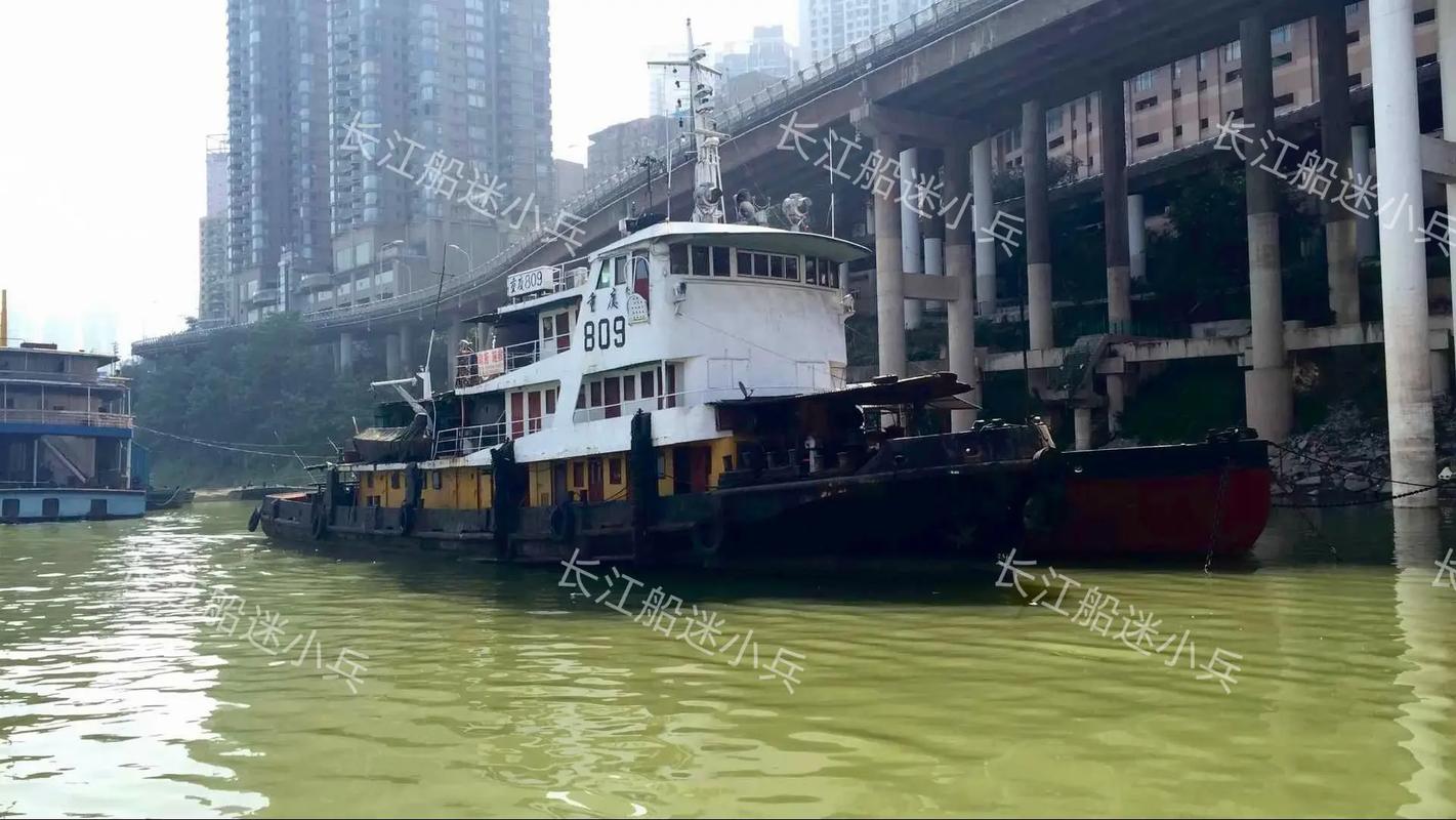 重庆餐饮船舶有何独特魅力？-图2