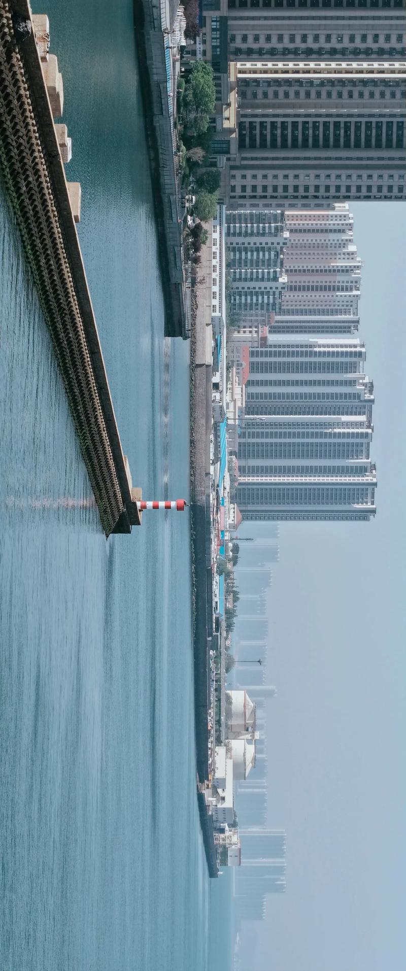 青岛船舶缘何破产？-图2