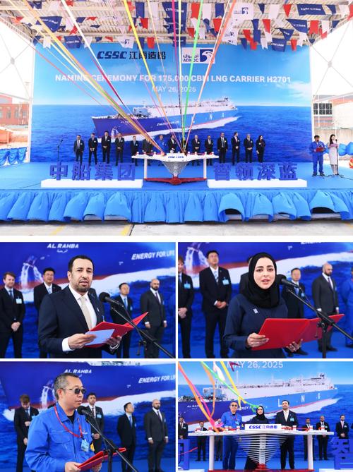 江南造船林欧简历有何亮点或经历?-图1 江南造船林欧简历有何亮点或经历?-图1