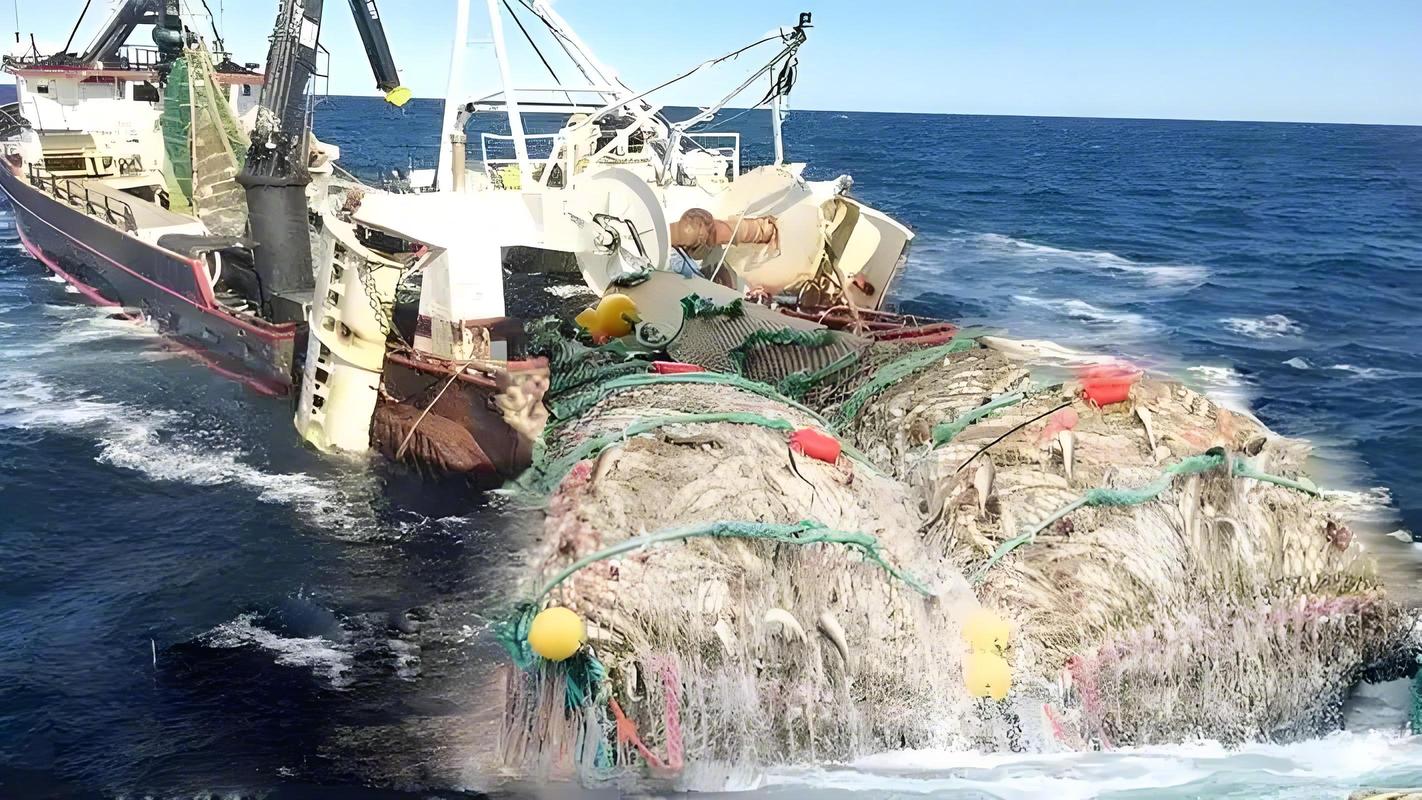 船舶如何污染海洋?污染危害有多大?-图2 船舶如何污染海洋?污染危害有多大?-图2