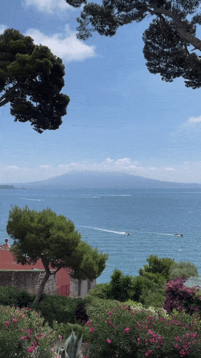 手机如何实时查询船舶动态？-图3