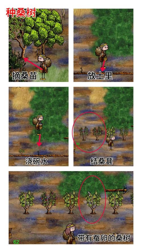 华夏人生如何造船？-图2