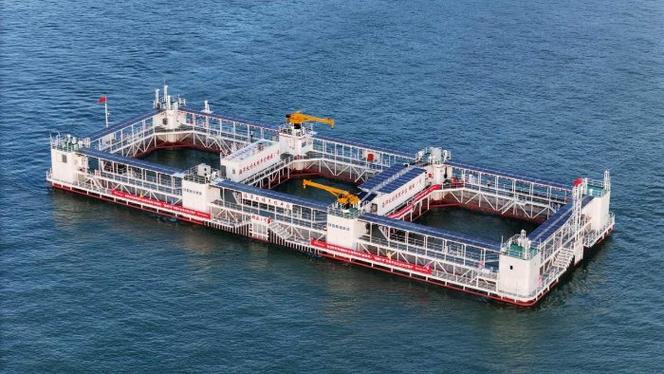 海洋牧场造船标准有哪些关键点?-图3 海洋牧场造船标准有哪些关键点?-图3