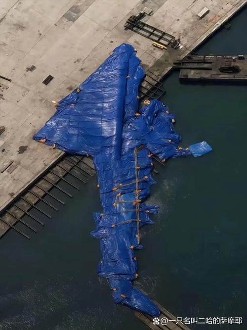 大洋造船为何濒临倒闭?-图2 大洋造船为何濒临倒闭?-图2