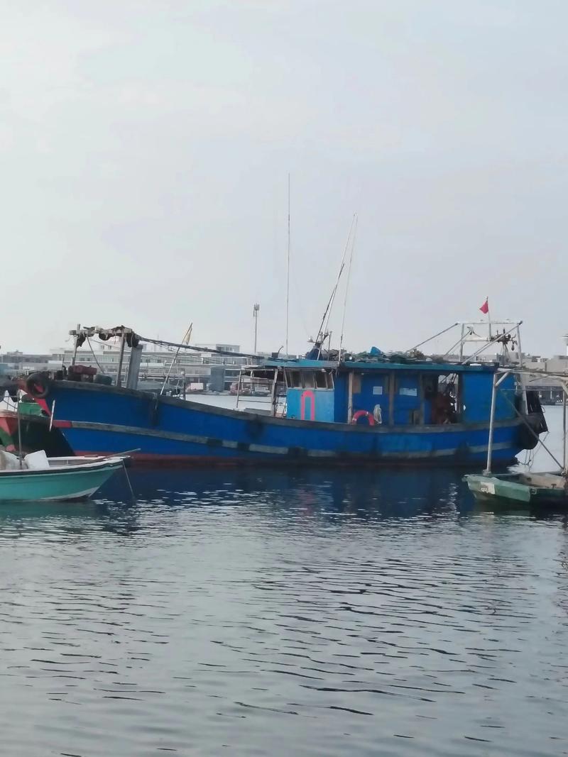 外海船舶买卖网，靠谱吗？-图3