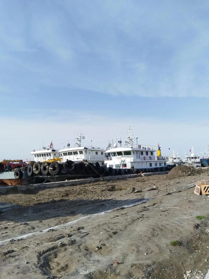 扬州大洋造船为何堵门?-图3 扬州大洋造船为何堵门?-图3