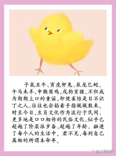 船舶对应哪个生肖？-图2