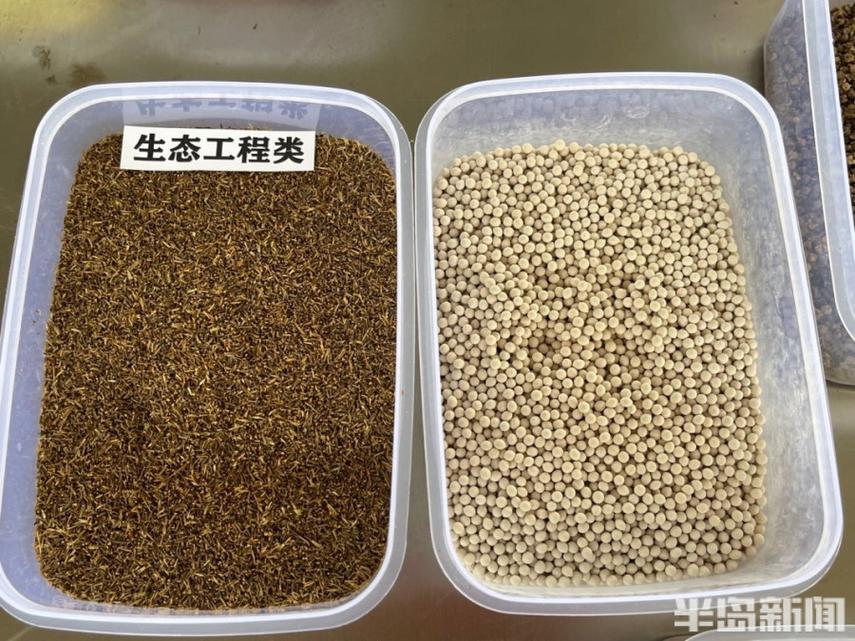 川崎船舶升帮丸有何特别之处?-图2 川崎船舶升帮丸有何特别之处?-图2