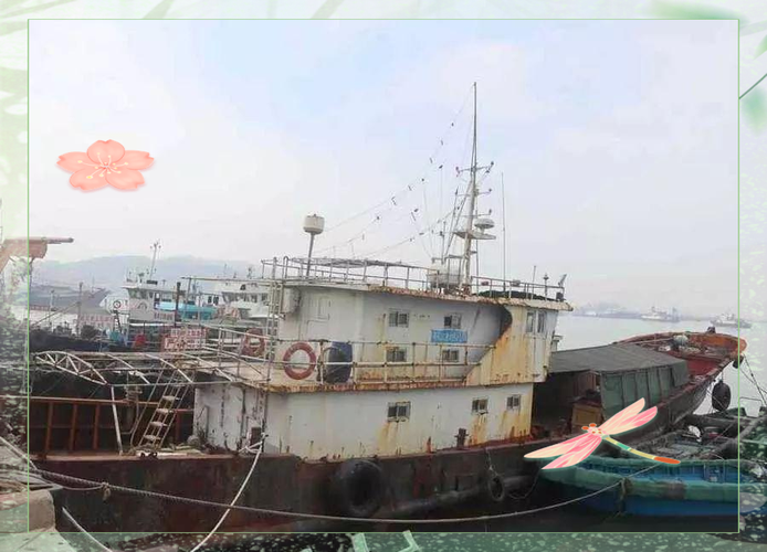 河南船舶拍卖网,船舶去哪买?-图3 河南船舶拍卖网,船舶去哪买?-图3