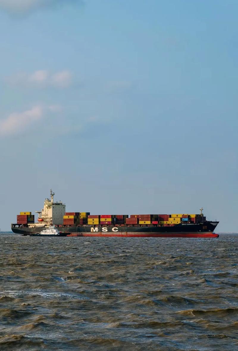 集装箱船舶船名有何特殊含义？-图1