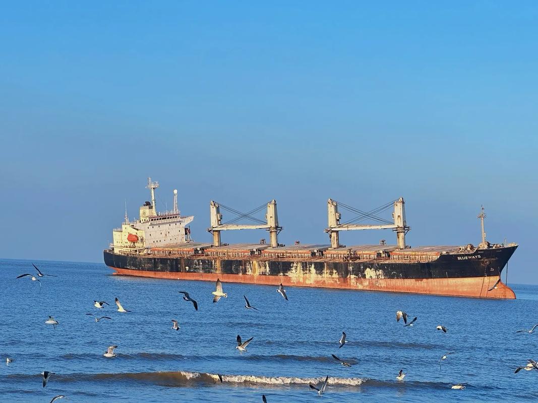 威隆船舶网的图片有什么特别之处？-图3