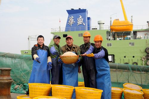 中国船舶采购人-图1 中国船舶采购人-图1