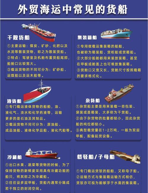 康中轮船舶资料有哪些具体信息？-图3