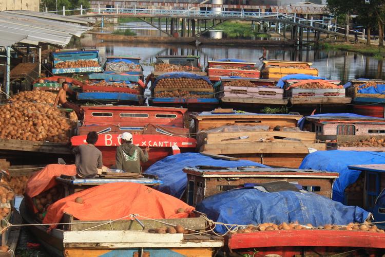 印尼旗船舶出口,为何增长如此迅速?-图1 印尼旗船舶出口,为何增长如此迅速?-图1