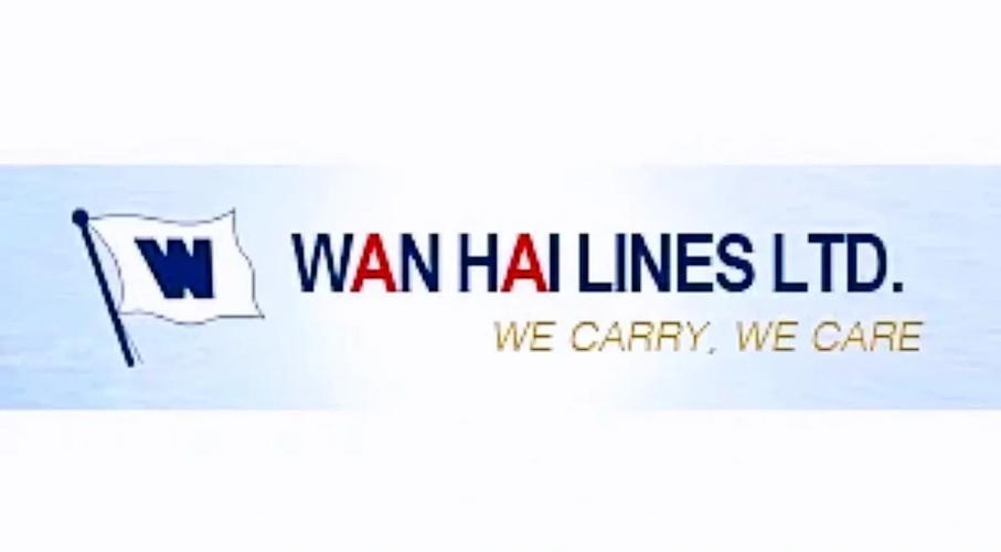 船舶公司进不了？原因何在？-图1